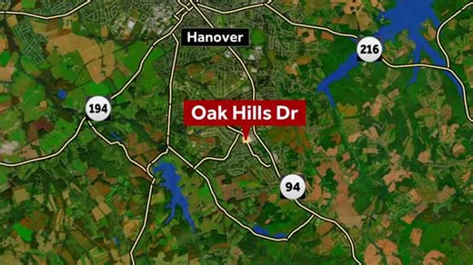 'Large hunting knife, chunks of flesh': 2 teens arrested after stabbing injures victim, police say