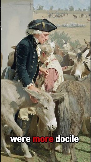 George Washington: Father of the American Mule 🐴