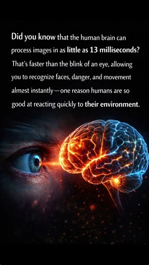 Did You Know Your Brain Processes Images in 13 Milliseconds?