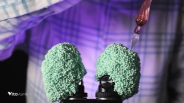 Vito Asmr 很高质量 免疫的点进来看看