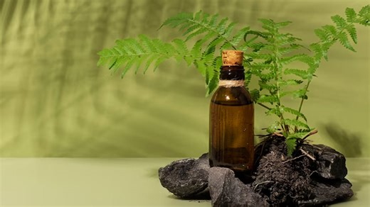 Neem Oil Treats Head Lice And More: Here Is Why You Should Replace It With Normal Oil