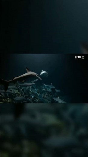 #Shorts, Coastal Seas: Protecting Marine Life Amid Climate Change | Our Planet Documentary