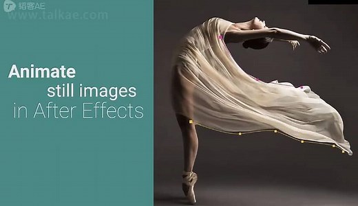 AE插件-LoopFlow v1.0.1 Win 静态图片局部变流动循环动画特效