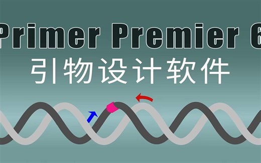 Primer Premier 6基因分析下载安装教学,新手快速学会
