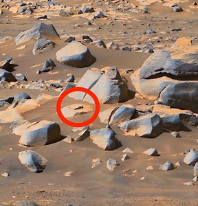 I found 1ft tall alien on Mars & it's 100% proof of life, says UFO hunter
