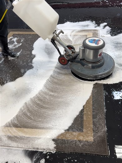 Revitalize Your Rug with Professional Cleaning