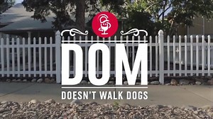 9.2K views · 118 reactions | Meet Dom. He doesn't walk dogs, but he does take voice orders on our mobile app. | Domino's Pizza | Facebook