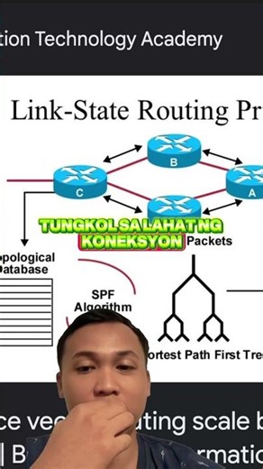 Ano Ang Link State Routing Protocol