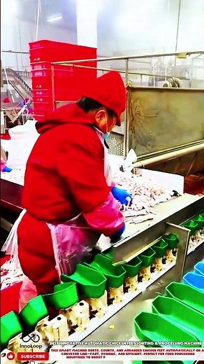 Best Innovative Automatic Chicken Feet Sorting & Processing Machine
