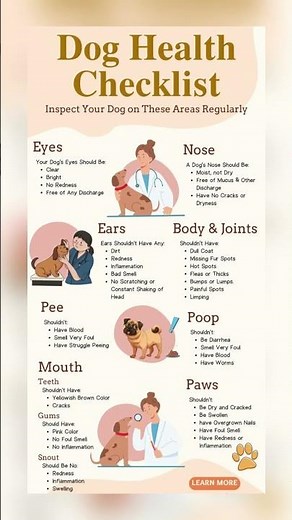 Dog Health Checklist: Complete Guide to Keep Your Dog Healthy🐶🩺🐾