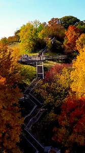 Escape to a world of color! Book your fall trip to Holland, MI now and discover the charming streets and breathtaking views for yourself. #discoverholland | Discover Holland