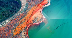 Services: Online Compliance Training - Allens