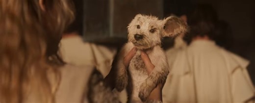 Big Game Spot On Puppy Bowl 2026 Shows Sneak Peak For 'Supergirl' -