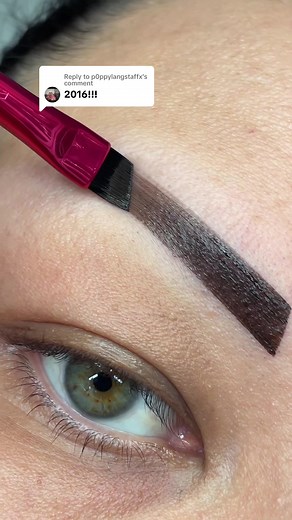 Eyebrow Shaping Tutorial 2016 | Step-by-Step Guide