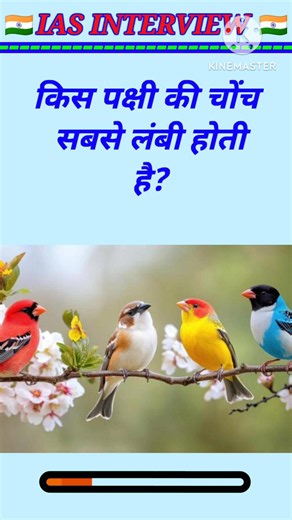 किस पक्षी की चोंच सबसे लंबी होती है? IAS interview Gk quiz top gk Gk2026 #gkfacts #gk #study #quiz