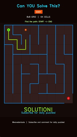 Maze Puzzle for improve focus | Can You Solve? #shorts