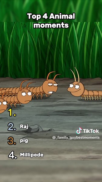 Top 4 Funny Animal Moments in Family Guy