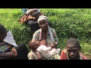 Pygmies Life In The Democratic Republic Of Congo!