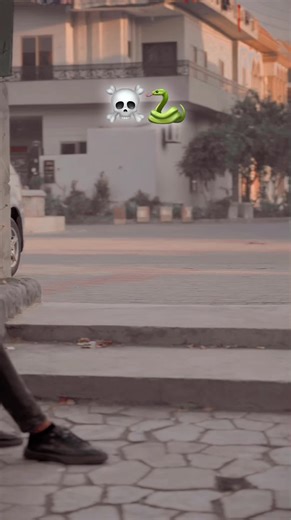 Understanding Snakes: Fascinating Facts and Myths