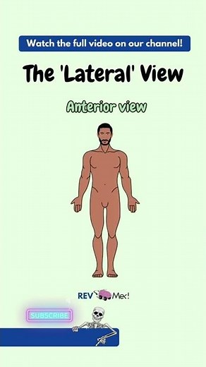 Medial & Lateral [Anatomical Terms & direction]