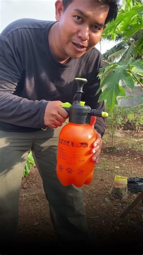 Pakai sprayer siram tanaman lebih mudah #gardening #berkebun #sprayertanaman
