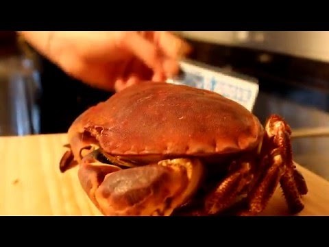 Como cocer un buey de mar gallego