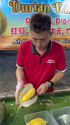 Unboxing Durian D168 Speedy #viral #durianrider #fypシ゚viral #durian #asianfruit #fruit