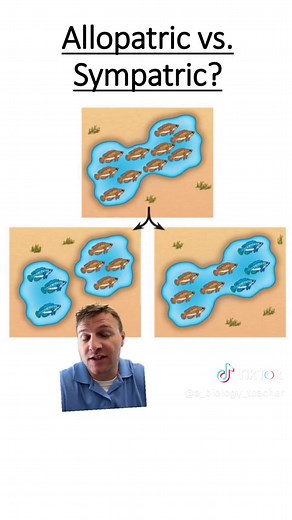 Allopatric vs Sympatric Speciation Explained | Biology & Evolution