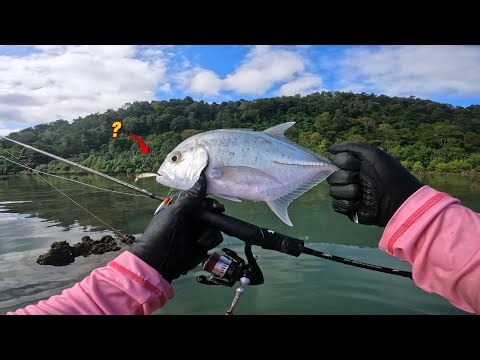 MINOW or MICRO JIG ?? Umpan yang Tepat saat Kondisi Air Keruh Kehijauan, Masak hasil pancing di spot