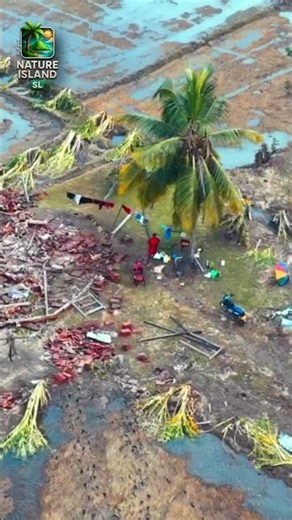 Sri Lanka Rebuilds After Cyclone DITWA 🌪️🇱🇰 | Real Footage #cyclone #rebuildingsrilanka #flood