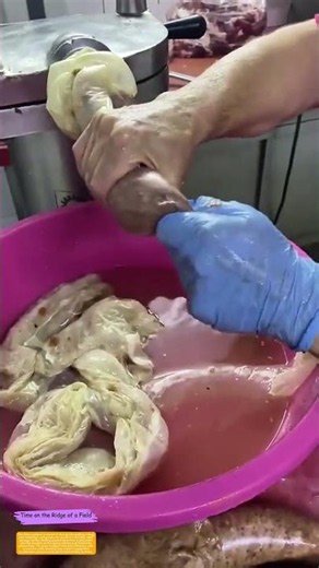 Stuffing the Casing: How a Machine Turns Ground Meat into Links of Tradition