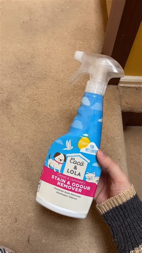 Testing a stain and odor remover that actually works