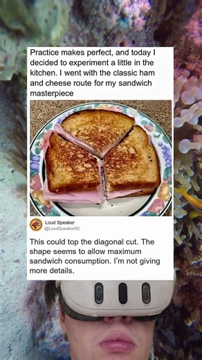 The Ultimate Sandwich Slice Design For Maximum Bites