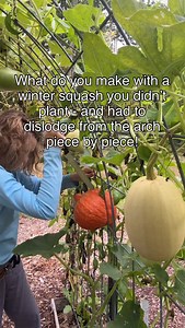 Squash soup - it’s what’s for dinner! Actually, I froze this soup in single serving sizes for those cold days when I want a toasty soup to warm me up! Credit: I used a simple recipe from pookspantry.com (altho I didn’t have any carrots so left those out). Have a gardening question? Ask away! I’ve been gardening for 25 years. Hang around for garden coaching and dork out with me on gardening, gardening hacks, gardening tips, garden crafts, and gardening tours! Want to learn more about gardening? I