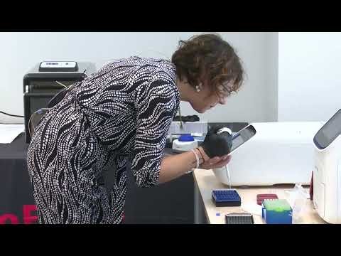 Živá ukázka QuantStudio™ PCR System (Sandra Fréville, Thermo Fisher Scientific)