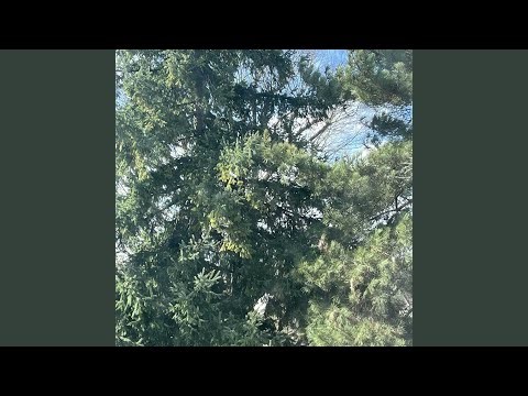 Interlude, Pt. 2 (Freestyle 10)