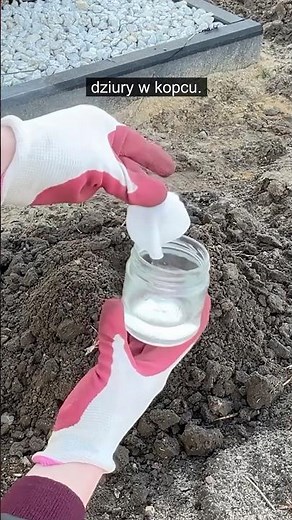 Got a mole in your garden? Do THIS and it will be gone forever!