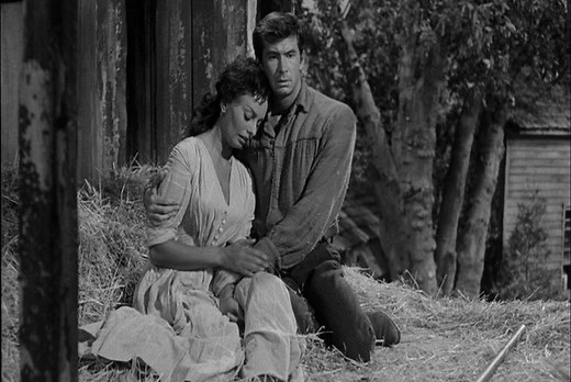 【经典剧作电影版】榆树下的欲望 Desire Under the Elms 1958.配中文字幕
