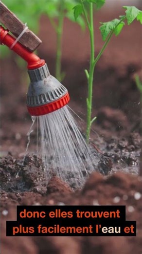 Stop sowing in straight lines #agriculture #advice