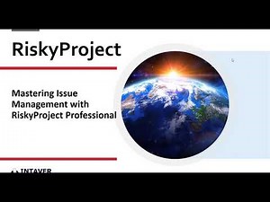 Mastering Issue Management with RiskyProject Professional