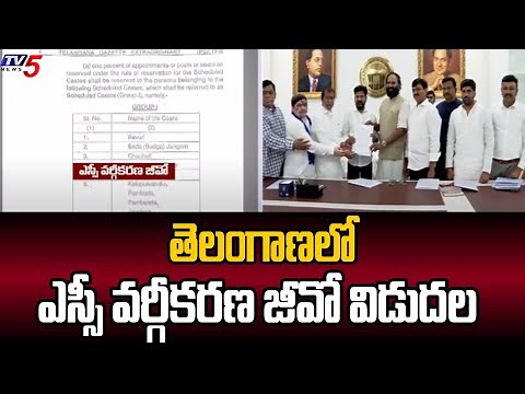 ఎస్సీ వర్గీకరణ జీవో విడుదల SC Classification GO Released In Telangana | Congress | TV5 News