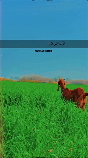 Ten Unknown Facts About BMW You Need to Know