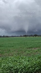 158K views · 3.4K reactions | A tornado has occurred near Coonamble in NSW this afternoon. No damage to properties was reported. Video credit: Kim Bird Media licensing available via Severe Weather Australia | Higgins Storm Chasing | Facebook