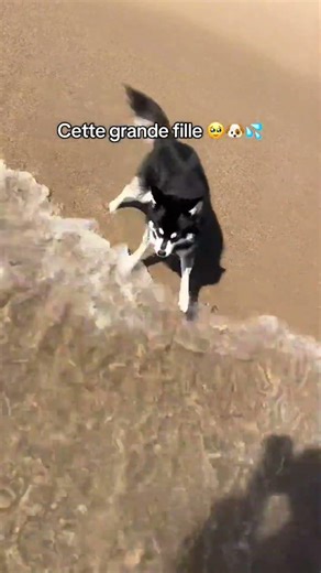 En général elle se cache du soleil et des vagues et la elle a voulu me suivre dans l’eau je suis