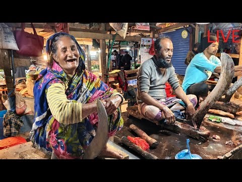 Fish Blogger Joy is live! 16/01/26 ( 3 )