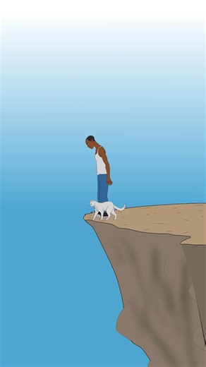 when a cat falls from a height | W Pulse
