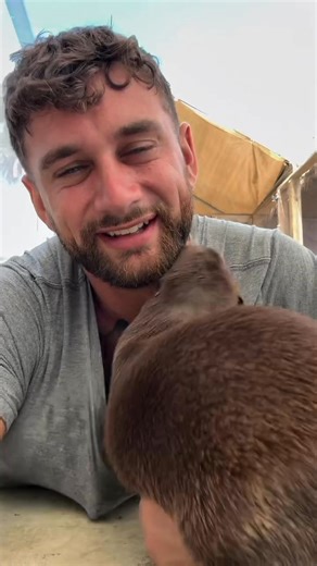 103K views · 2.4K reactions | I came for serenity. I got swarmed by chaotic aquatic ferrets with grabby little hands and zero respect for personal boundaries. One’s trying to unzip me, two are forming a union, and I swear one whispered, ‘your pants or your dignity.’ This isn’t enrichment — it’s a heist. 簾✨ #OtterlyOutOfControl #SendTherapyNotTowels #TheyveSeenTooMuch | Sean Kalin Jr | Facebook