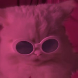 katttheinfamous - Twitch