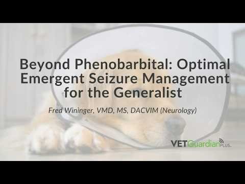 Beyond Phenobarbital: Optimal Emergent Seizure Management for the Generalist