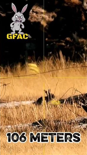 106-meter shot. Rabbit hunting with my CZ457 22LR. #hunting #headshot #australia